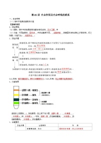 第05讲 光合作用及光合呼吸的联系-【寒假衔接讲义】高一生物寒假讲义练习