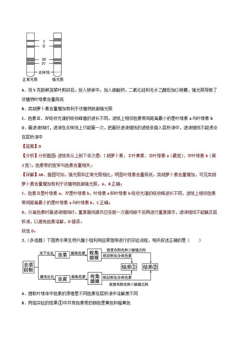 第05講 光合作用及光合呼吸的聯(lián)系（教師卷）-【寒假銜接講義】高一生物寒假講義練習(xí)第3頁
