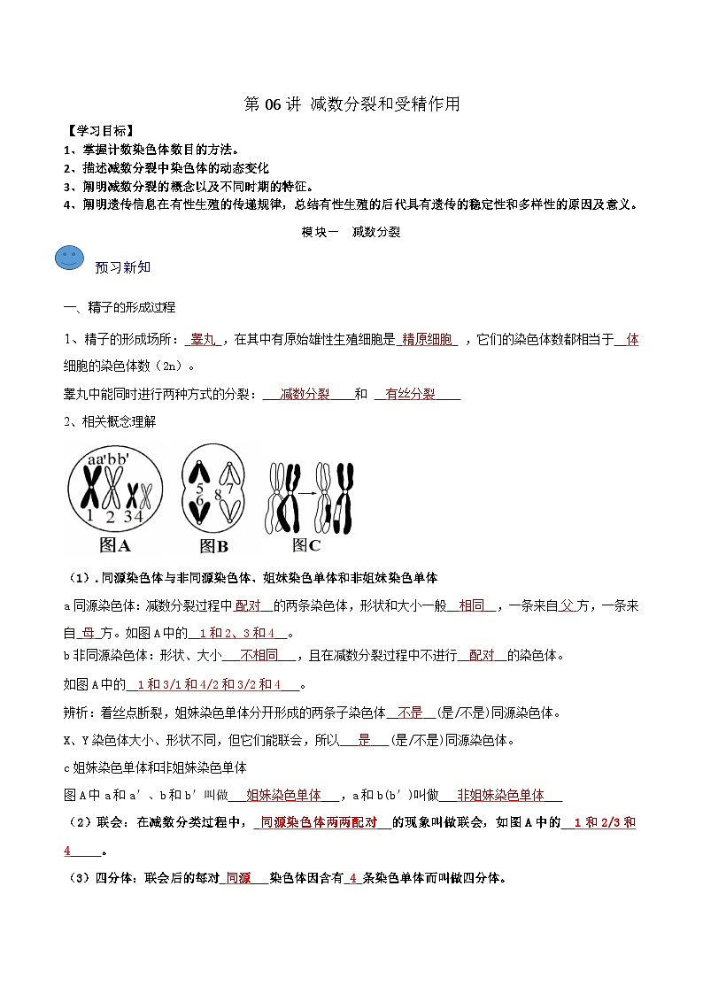 第06講 減數(shù)分裂和受精作用（教師卷）-【寒假銜接講義】高一生物寒假講義練習(xí)第1頁
