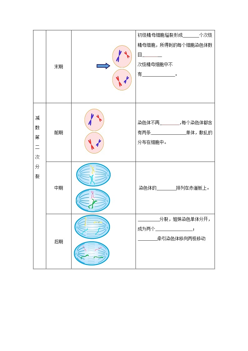 第06講 減數(shù)分裂和受精作用（學(xué)生卷）-【寒假銜接講義】高一生物寒假講義練習(xí)第3頁