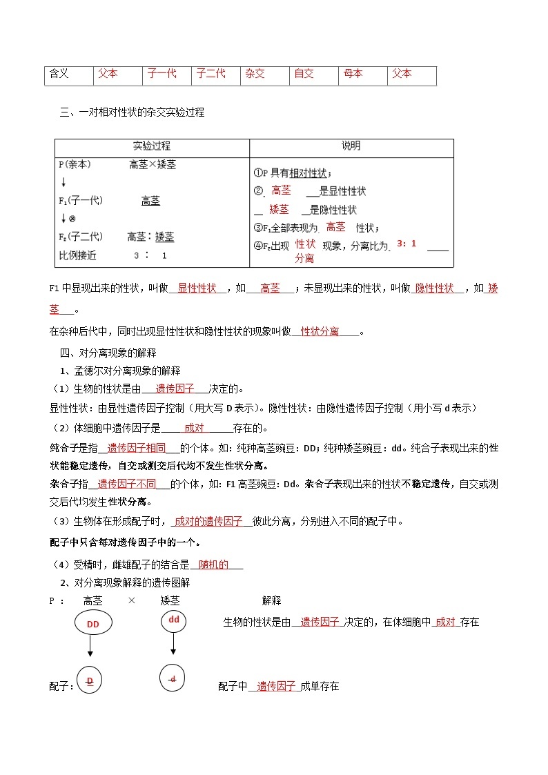 第07讲 孟德尔的豌豆杂交实验（一）-寒假衔接讲义】高一生物寒假讲义练习02