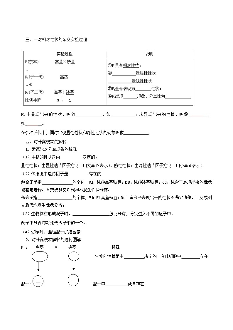 第07講 孟德?tīng)柕耐愣闺s交實(shí)驗(yàn)（一）（學(xué)生卷）-【寒假銜接講義】高一生物寒假講義練習(xí)第2頁(yè)