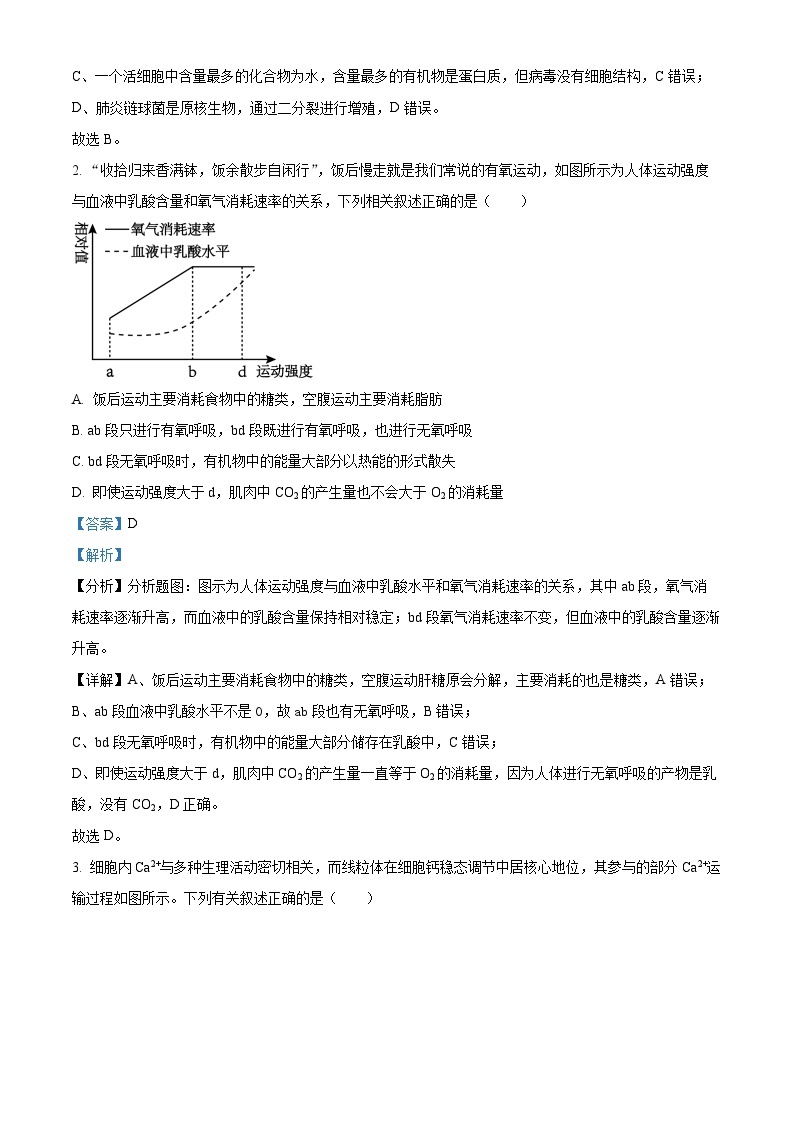 湖北省恩施州高中教育联盟2023-2024学年高二上学期期末考试生物试题（Word版附解析）02