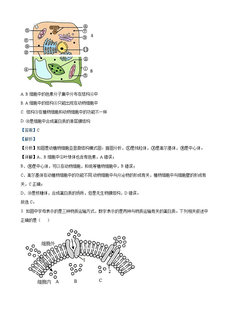 湖南省岳阳市岳阳楼区2022-2023学年高二上学期期末生物试题(Word版附解析)02
