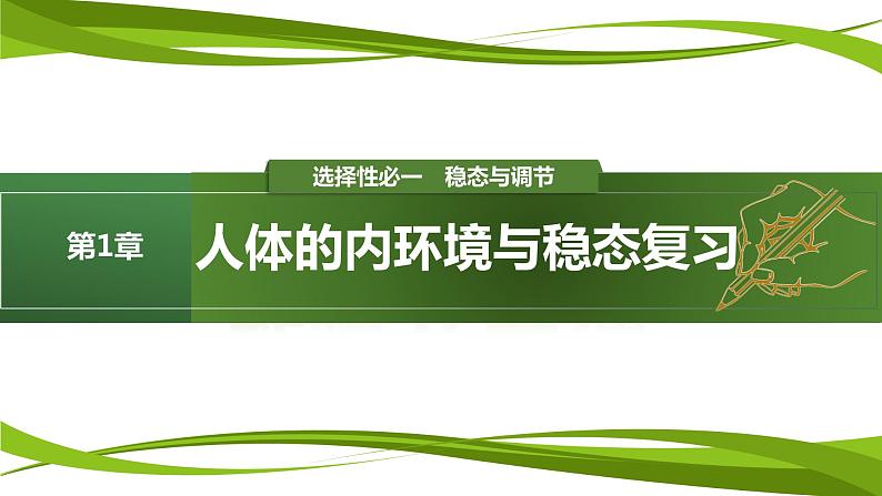 第1章 人体的内环境与稳态(复习课件)-2023-2024学年高二生物同步精品课件+分层训练(人教版2019选择性必修1)第1页