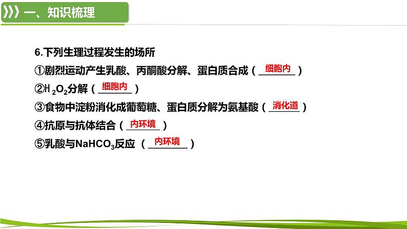 第1章 人体的内环境与稳态(复习课件)-2023-2024学年高二生物同步精品课件+分层训练(人教版2019选择性必修1)第7页