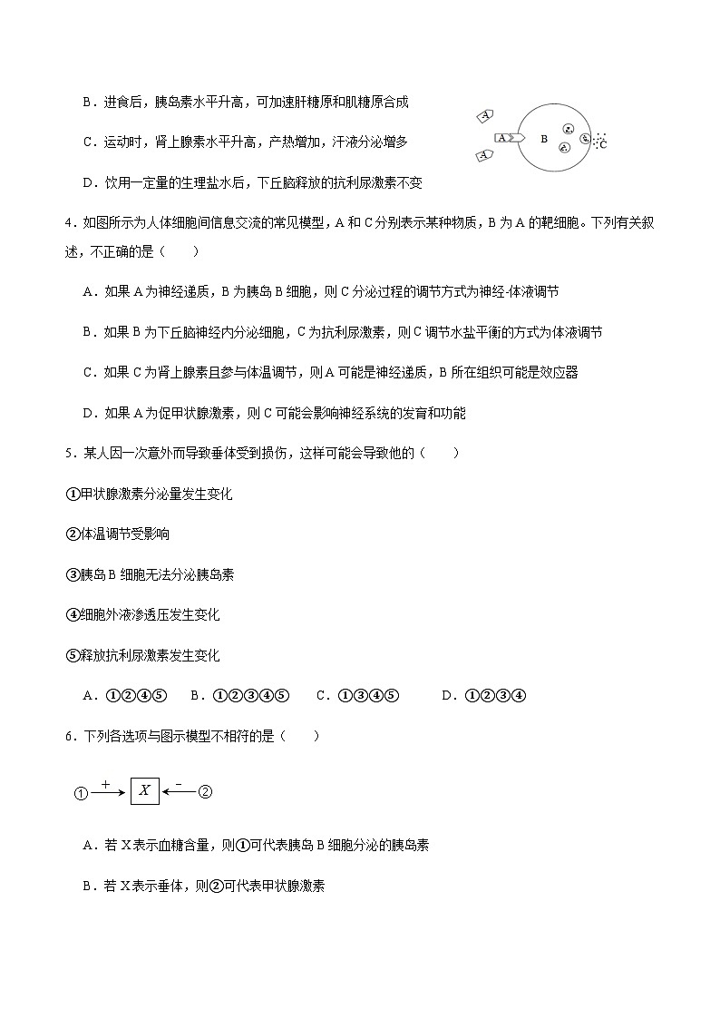 第3章 体液调节(章末测试)-2023-2024学年高二生物同步精品课件+分层训练(人教版2019选择性必修1)02