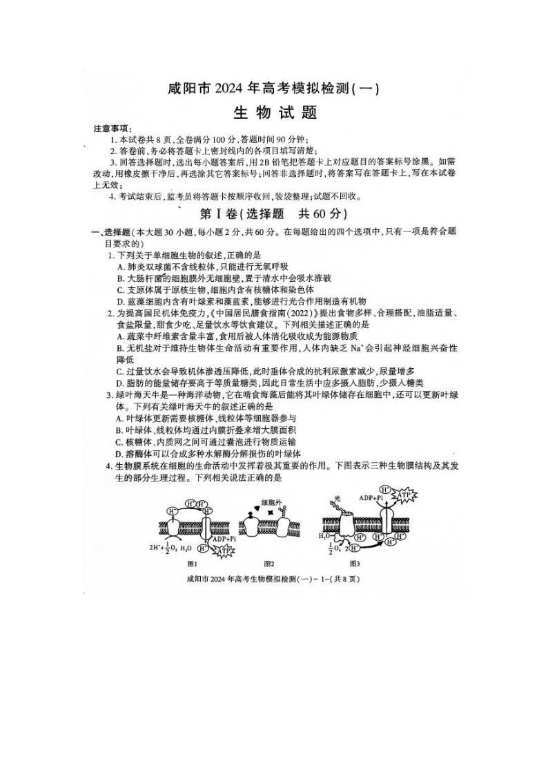 咸阳市2024年高考模拟检测（一）（一模）生物试题和答案01