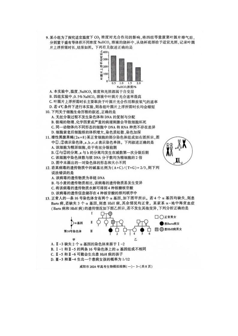 咸阳市2024年高考模拟检测（一）（一模）生物试题和答案03