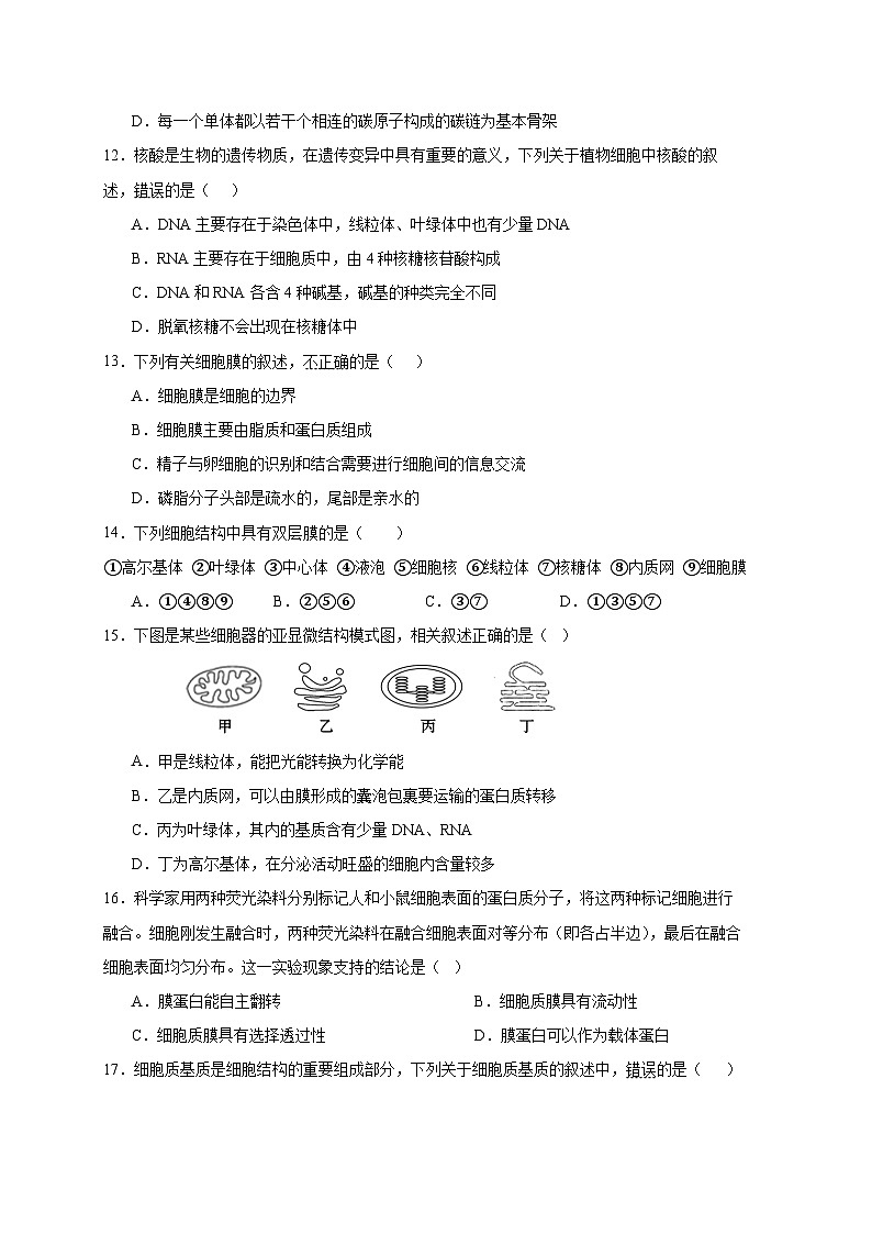 寧夏回族自治區(qū)石嘴山市2023-2024學(xué)年高一上冊(cè)期中考試生物模擬試題（附答案）第3頁