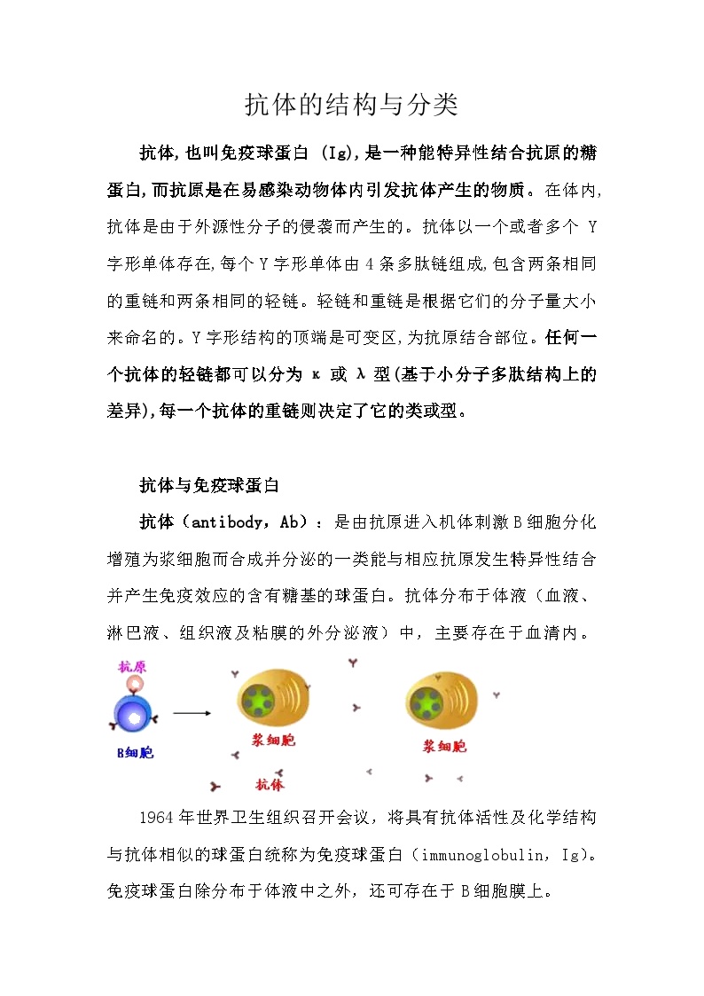 备课素材知识点：抗体的结构与分类  高中生物人教版选择性必修1