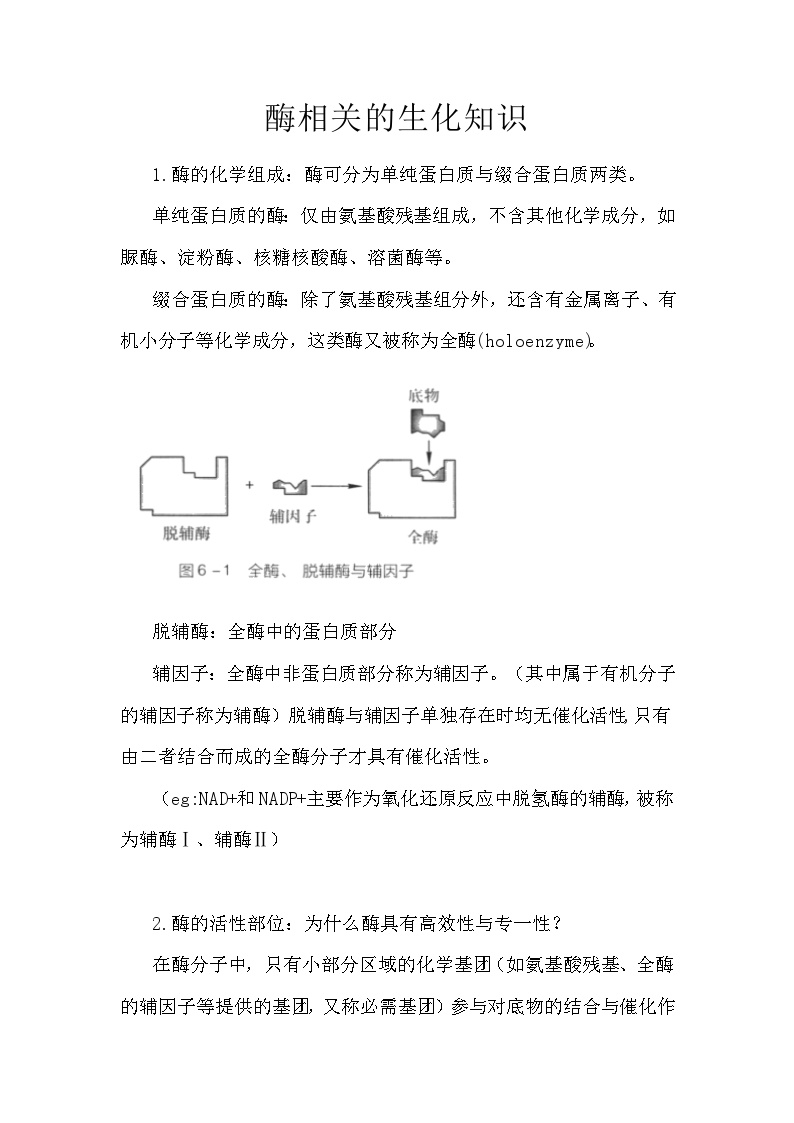 备课素材知识点：酶相关的生化知识  高中生物人教版必修1