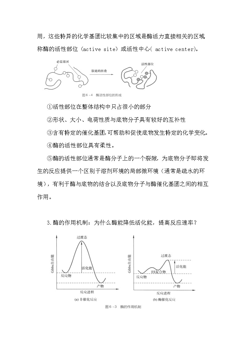 备课素材知识点：酶相关的生化知识  高中生物人教版必修102