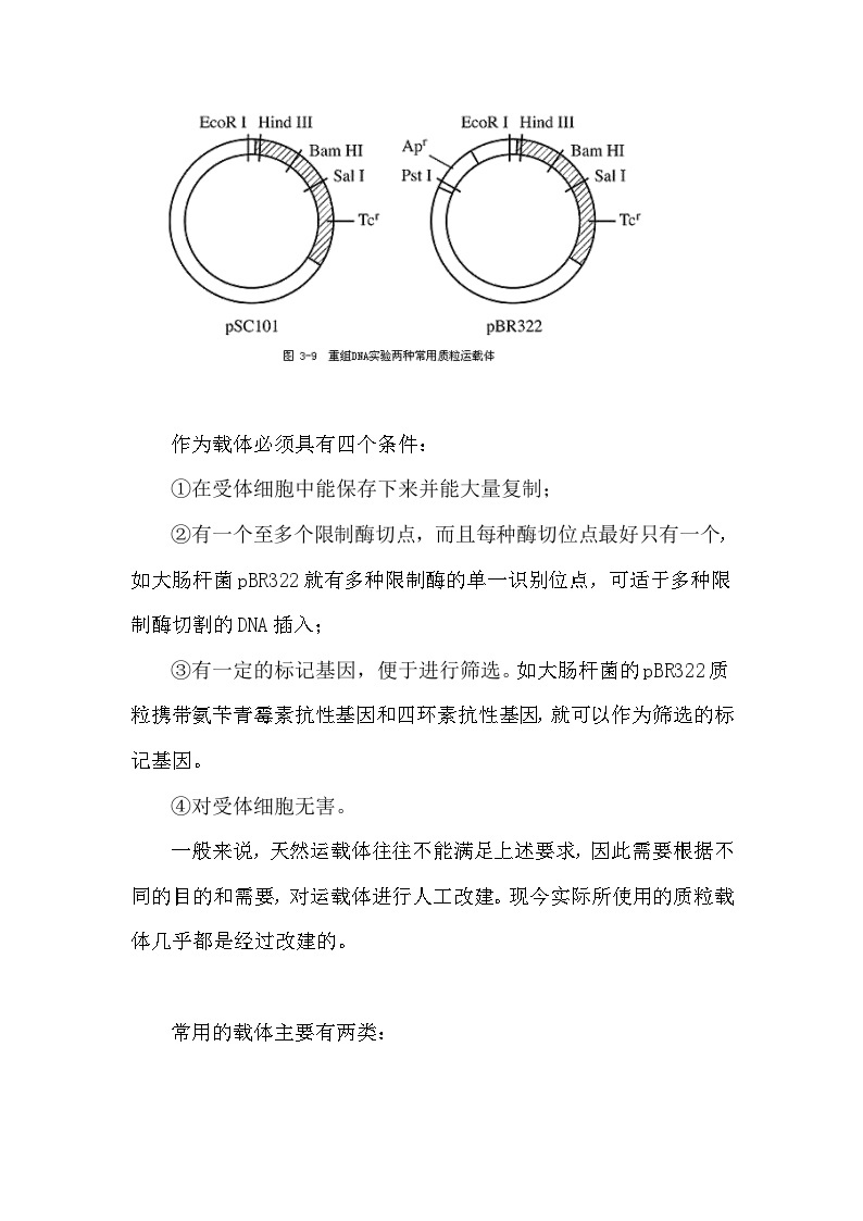 备课素材知识点：逆转录病毒载体  高中生物人教版选择性必修302