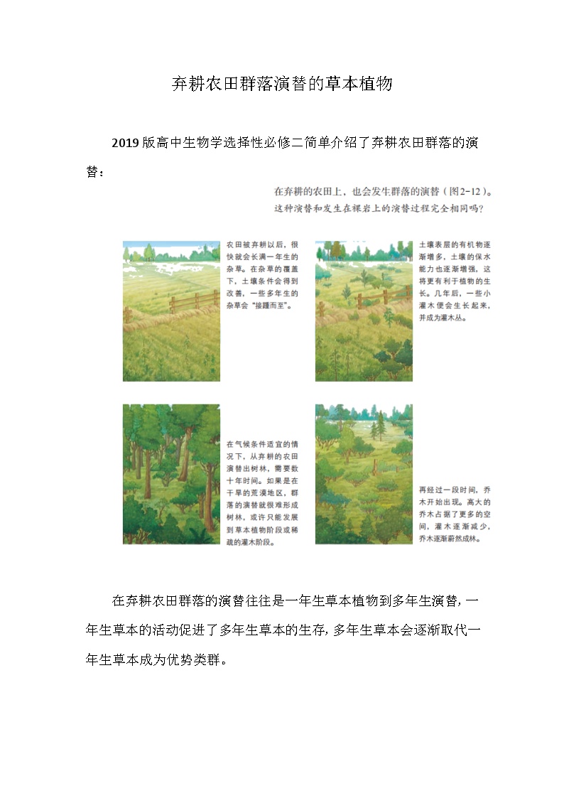 备课素材知识点：弃耕农田群落演替的草本植物  高中生物人教版选择性必修2