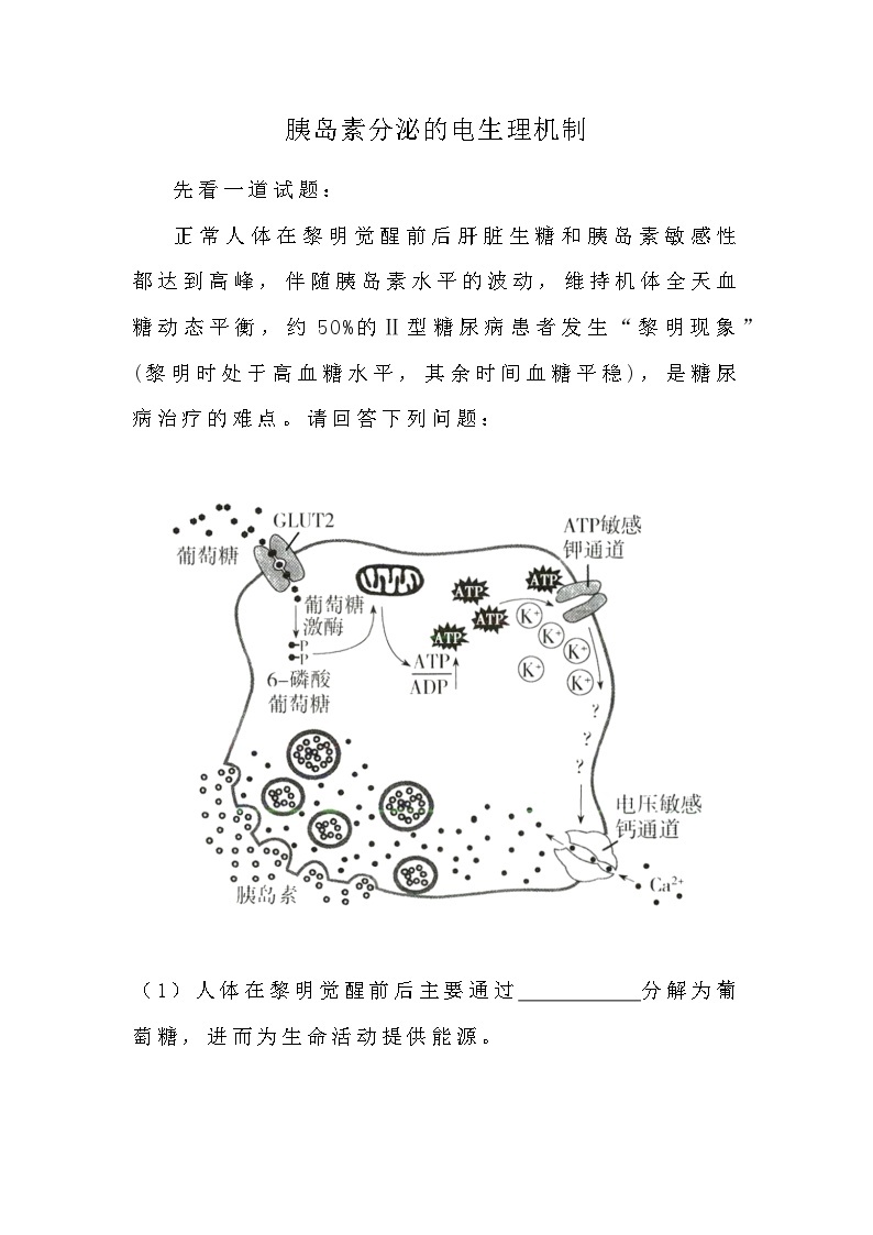 备课素材知识点：胰岛素分泌的电生理机制  高中生物人教版选择性必修101