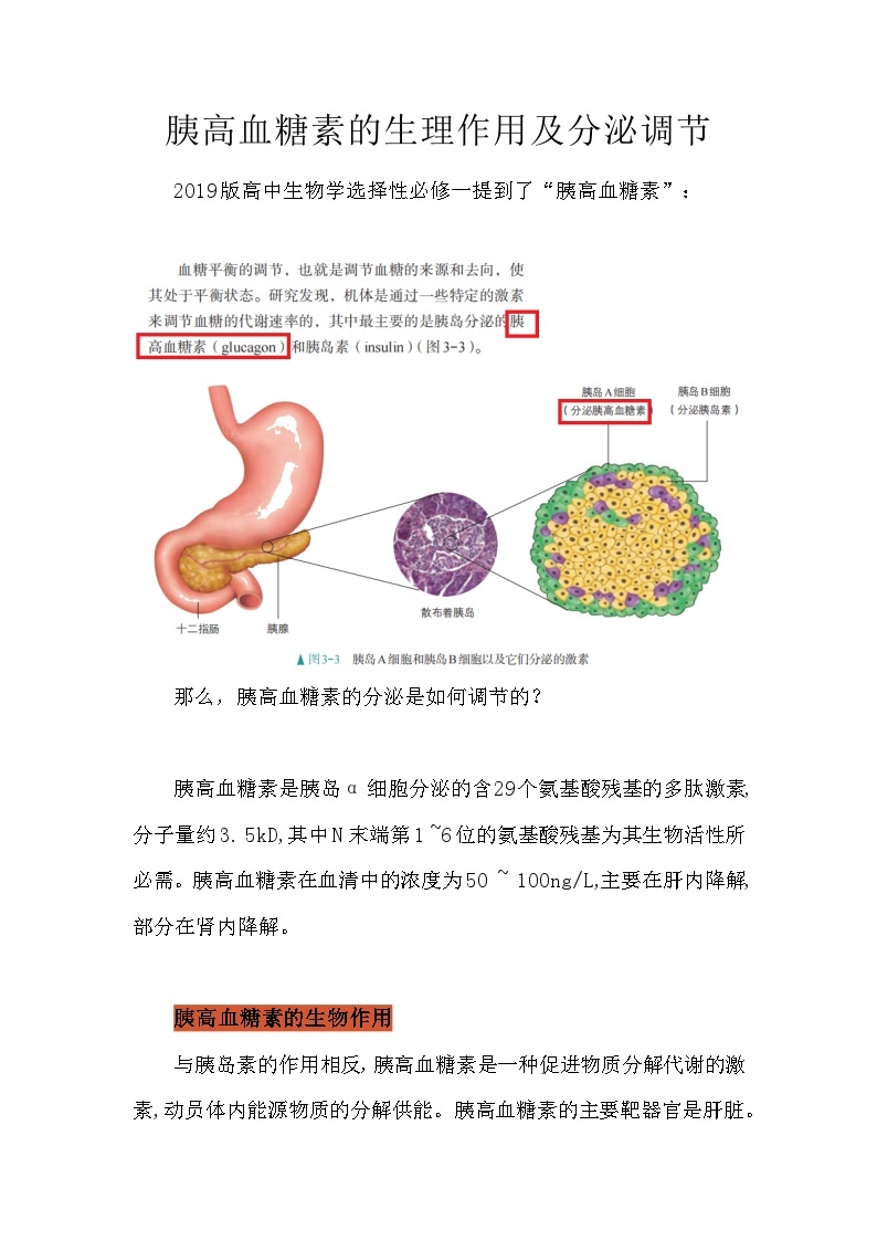 备课素材知识点：胰高血糖素的生理作用及分泌调节   高中生物学选择性必修一01