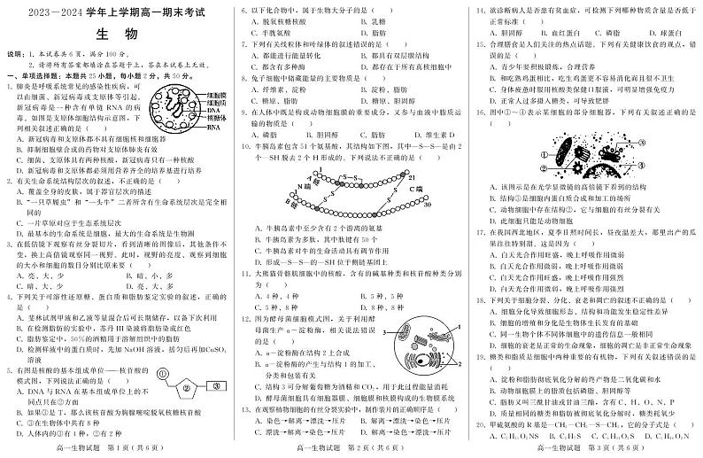 2024邢台高一上学期1月期末考试生物PDF版含答案第1页