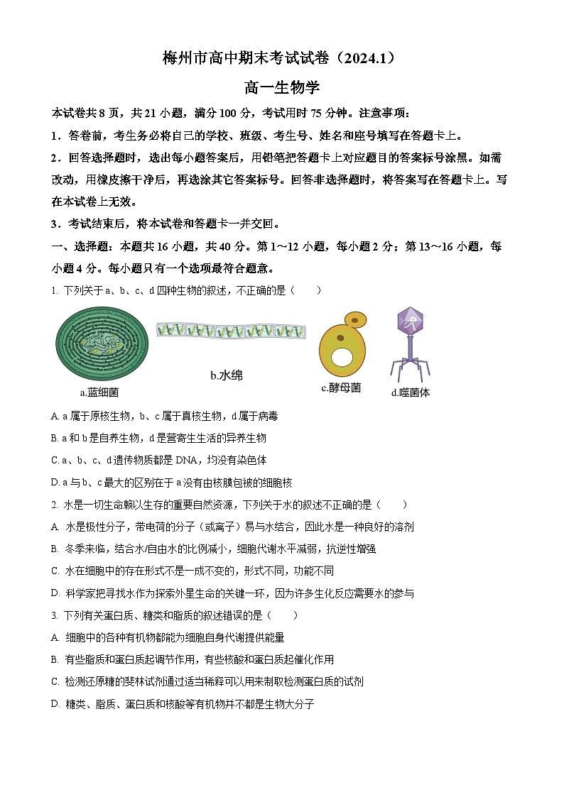 2024梅州高一上學(xué)期期末考試生物含解析第1頁
