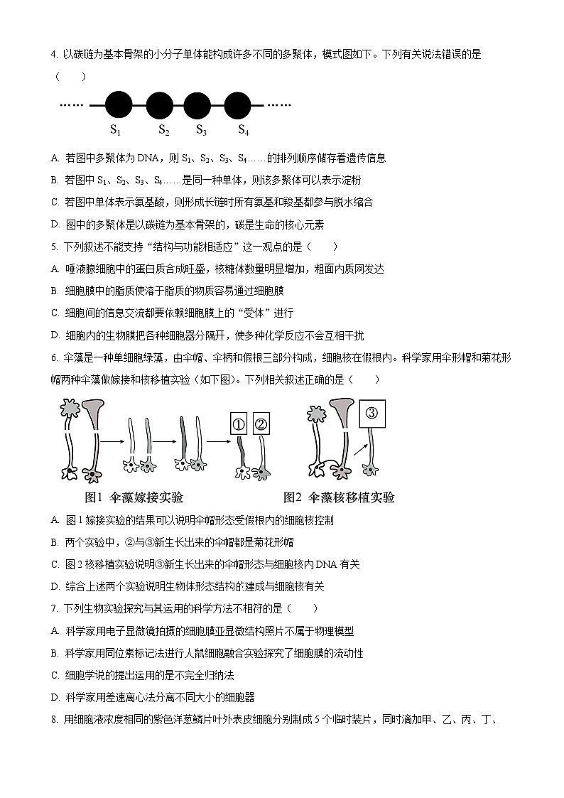2024梅州高一上學(xué)期期末考試生物含解析第2頁