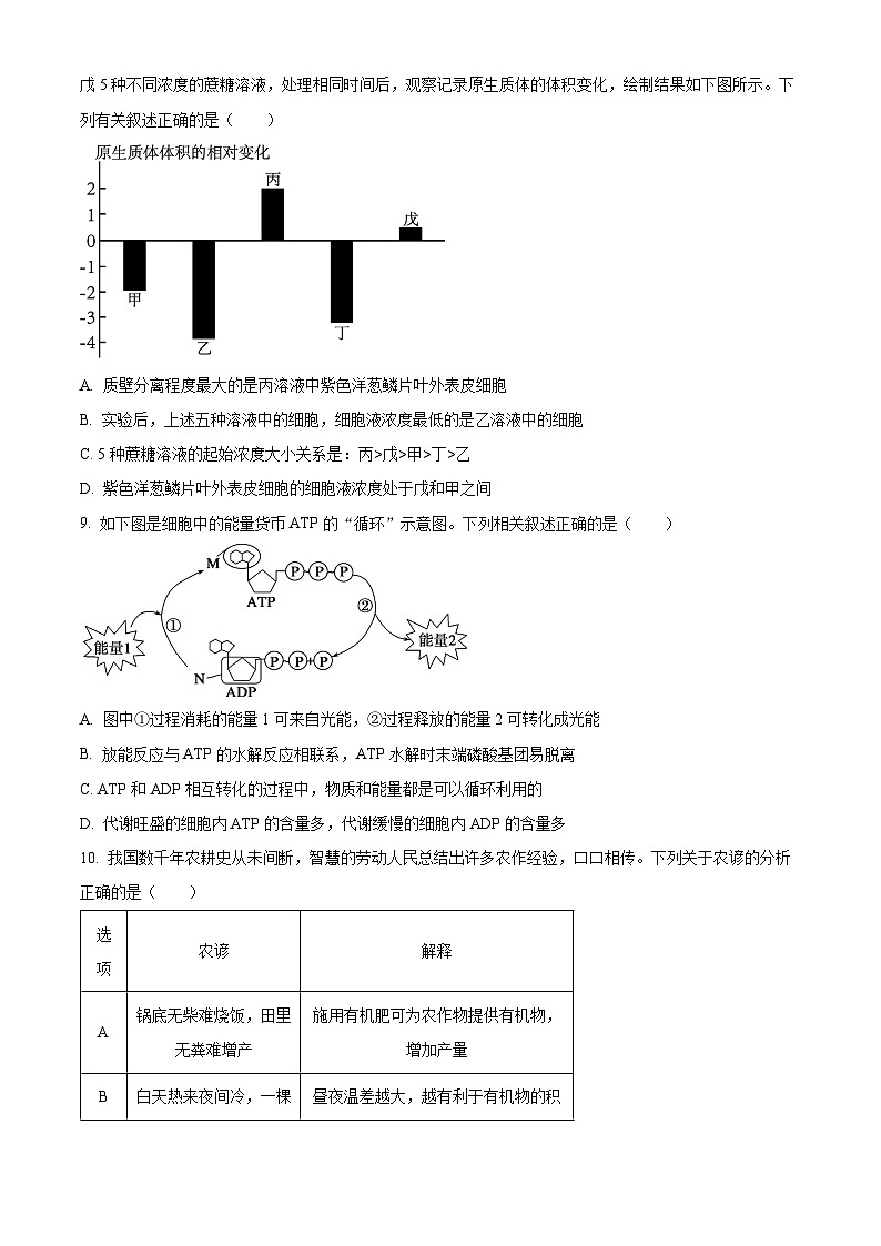 2024梅州高一上學(xué)期期末考試生物含解析第3頁