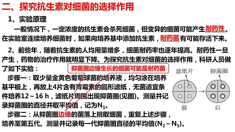 新教材备战高考生物一轮复习全考点精讲课堂 第21讲 探究自然选择基因频率的影响及基因频率的计算(课件)07