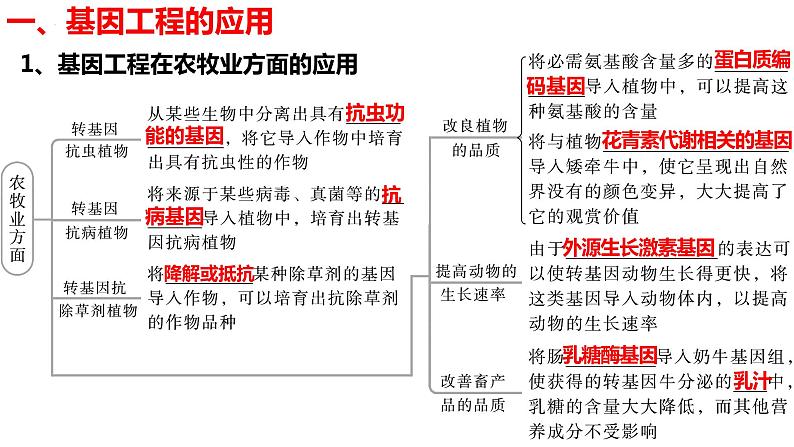新教材备战高考生物一轮复习全考点精讲课堂 第36讲 基因工程的应用及蛋白质工程(课件)05