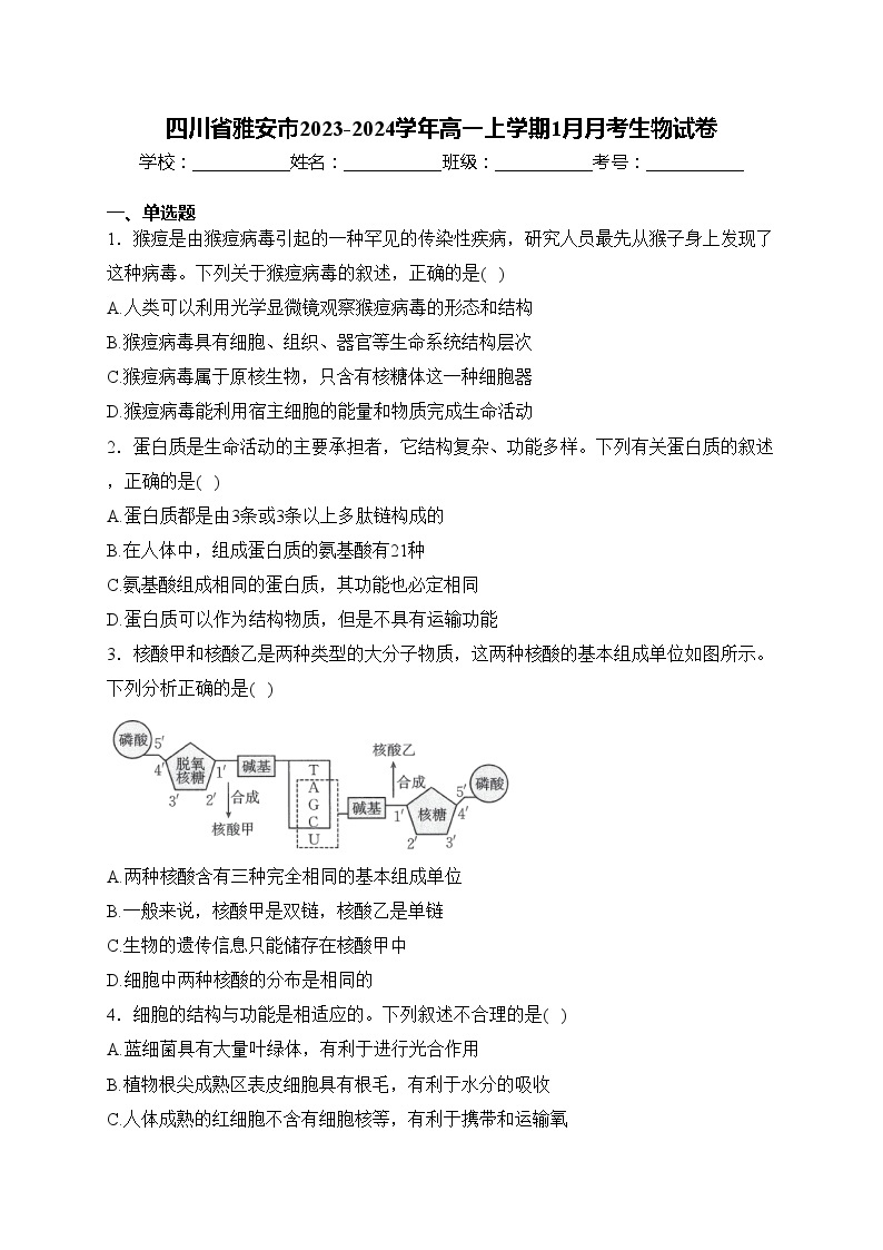 四川省雅安市2023-2024学年高一上学期1月月考生物试卷(含答案)01