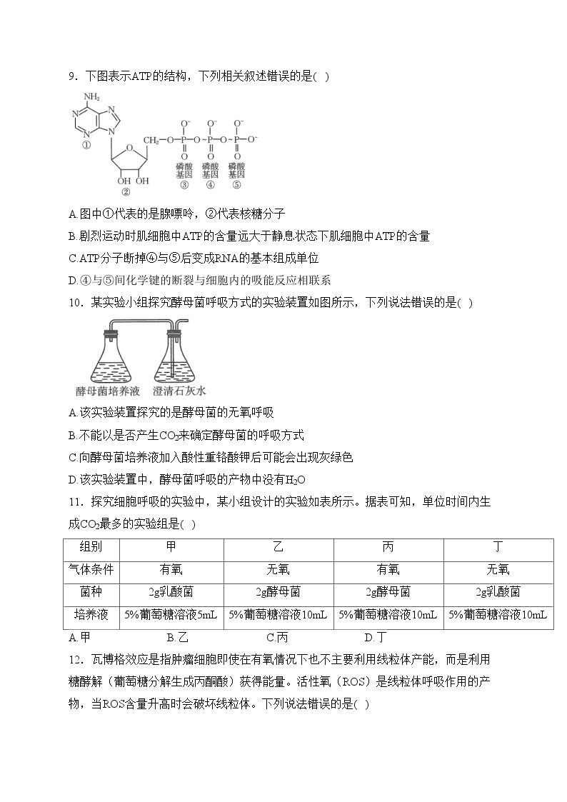 四川省雅安市2023-2024学年高一上学期1月月考生物试卷(含答案)03