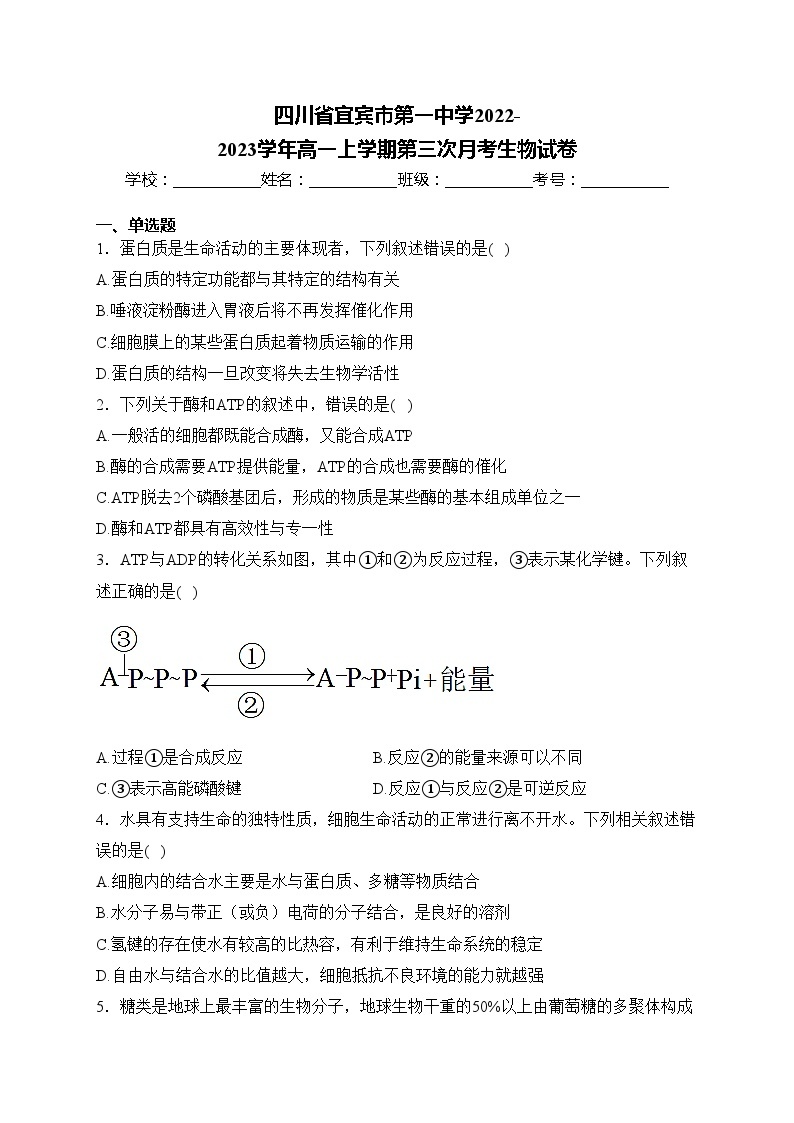 四川省宜宾市第一中学2022-2023学年高一上学期第三次月考生物试卷(含答案)01