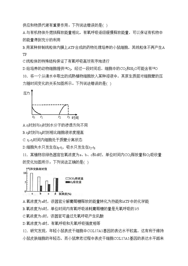 四川省宜宾市第一中学2022-2023学年高一上学期第三次月考生物试卷(含答案)03