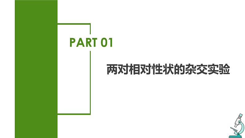 (人教版2019必修2)高一生物同步练习 1.2 孟德尔的豌豆杂交实验(二)(教学课件)第5页