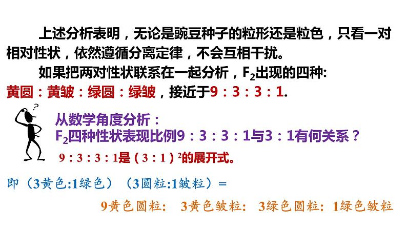 (人教版2019必修2)高一生物同步练习 1.2 孟德尔的豌豆杂交实验(二)(教学课件)第8页