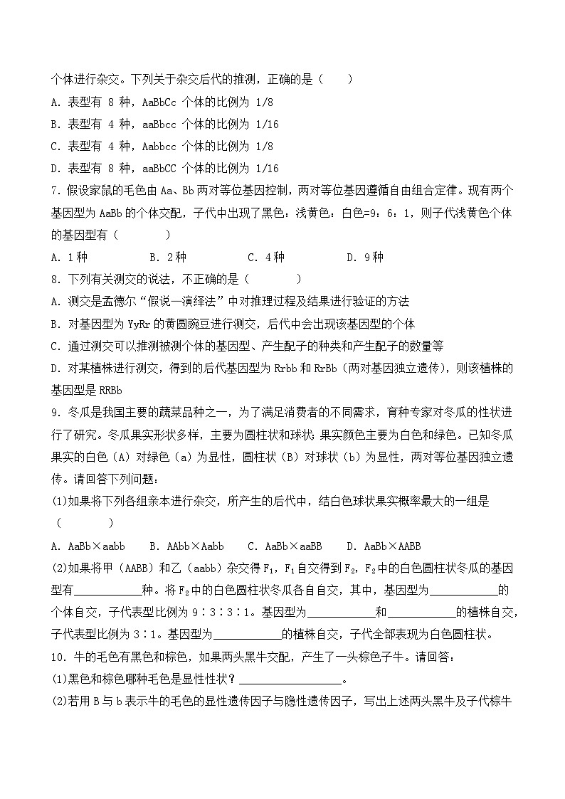 (人教版2019必修2)高一生物同步练习 1.2 孟德尔的豌豆杂交实验(二)(原卷版+解析)第2页