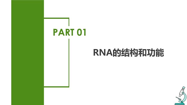 (人教版2019必修2)高一生物同步练习 4.1 基因指导蛋白质的合成(教学课件)第5页