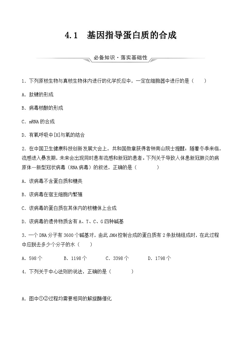 (人教版2019必修2)高一生物同步练习 4.1 基因指导蛋白质的合成(原卷版+解析)第1页