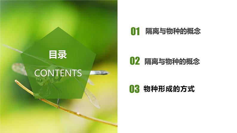 (人教版2019必修2)高一生物同步练习 6.3.2 隔离在物种形成中的作用(教学课件+课后练习+解析)02