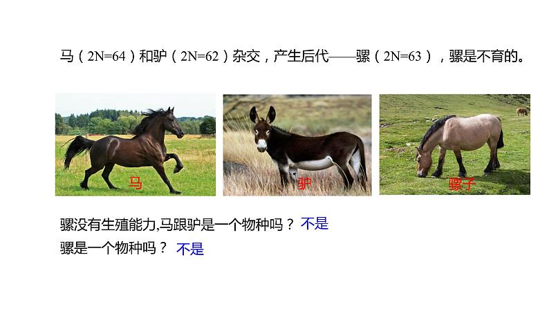 (人教版2019必修2)高一生物同步练习 6.3.2 隔离在物种形成中的作用(教学课件+课后练习+解析)06
