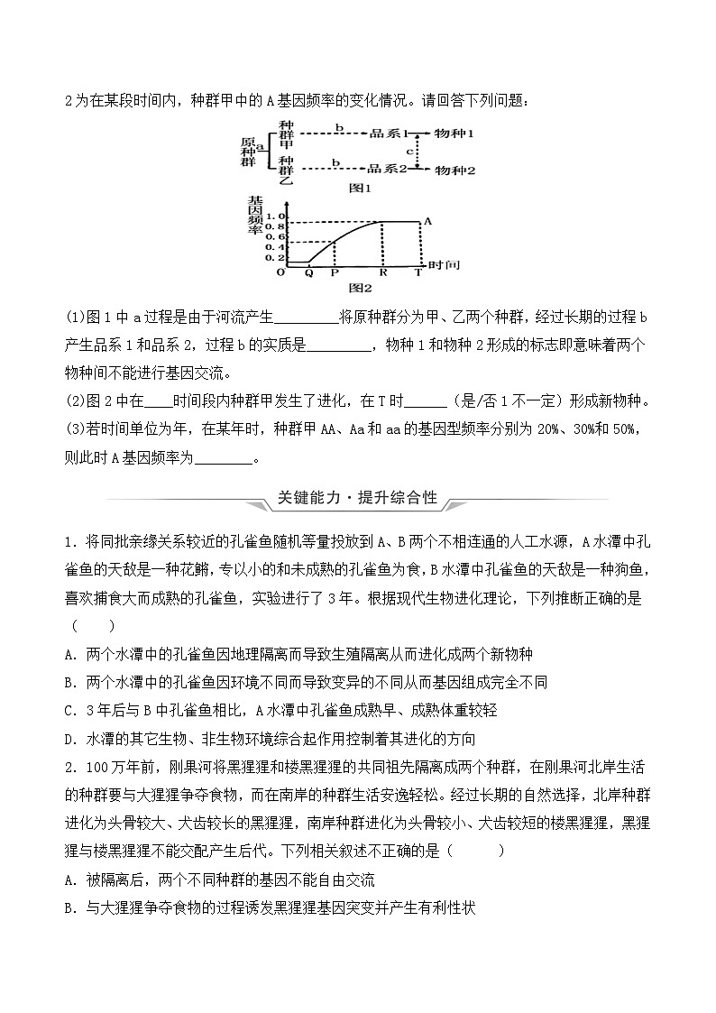 (人教版2019必修2)高一生物同步练习 6.3.2 隔离在物种形成中的作用(教学课件+课后练习+解析)03