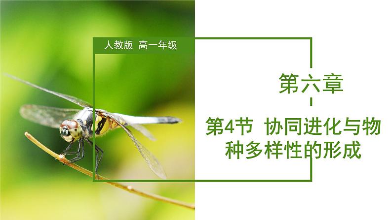 (人教版2019必修2)高一生物同步练习 6.4 协同进化与生物多样性的形成(教学课件)第1页