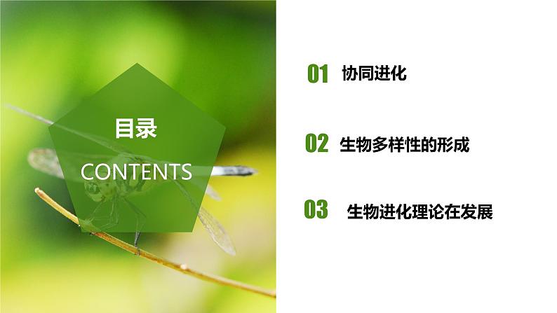 (人教版2019必修2)高一生物同步练习 6.4 协同进化与生物多样性的形成(教学课件)第2页