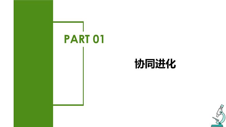 (人教版2019必修2)高一生物同步练习 6.4 协同进化与生物多样性的形成(教学课件)第5页