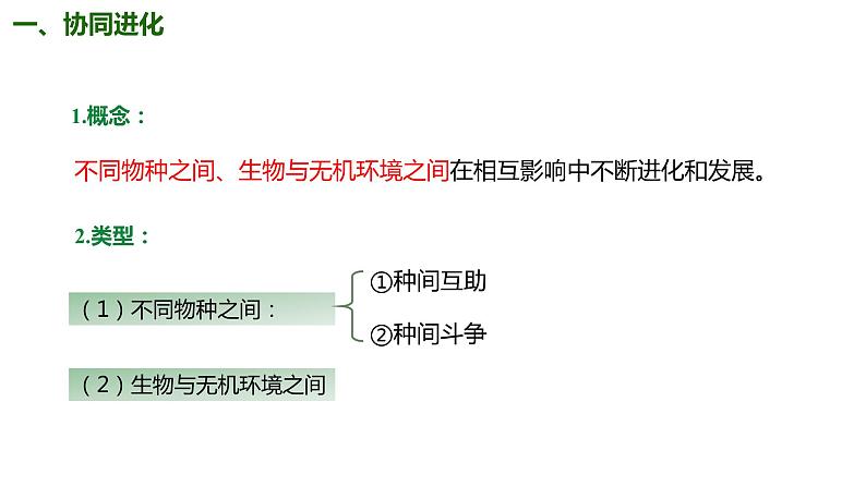 (人教版2019必修2)高一生物同步练习 6.4 协同进化与生物多样性的形成(教学课件)第6页