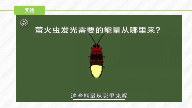 （人教版2019必修1）高一生物同步精品 5.2 细胞的能量“货币”ATP（精讲课件+教学设计）05