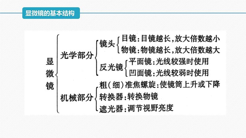 (人教版2019必修1)高一生物同步精品课件 1.2 细胞的多样性和统一性(精讲课件)第6页