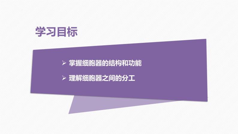 （人教版2019必修1）高一生物同步精品 3.2 细胞器之间的分工合作（精讲课件+教学设计）（第1课时）02