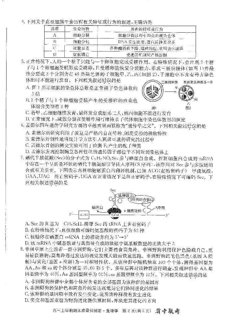 安徽省合肥市第一中学2024届高三上学期期末质量检测生物02