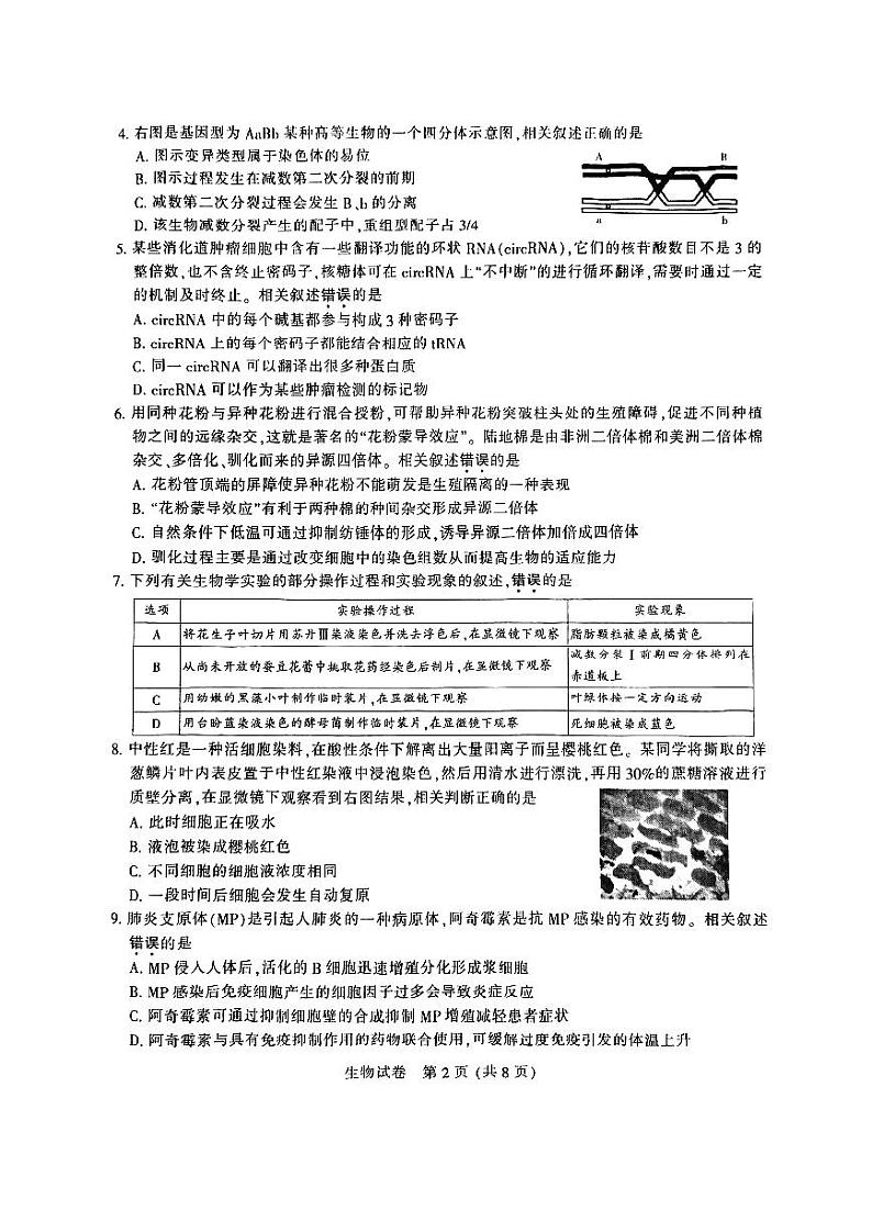 江苏省南通等六市2024届高三第一次模拟考试生物试卷02