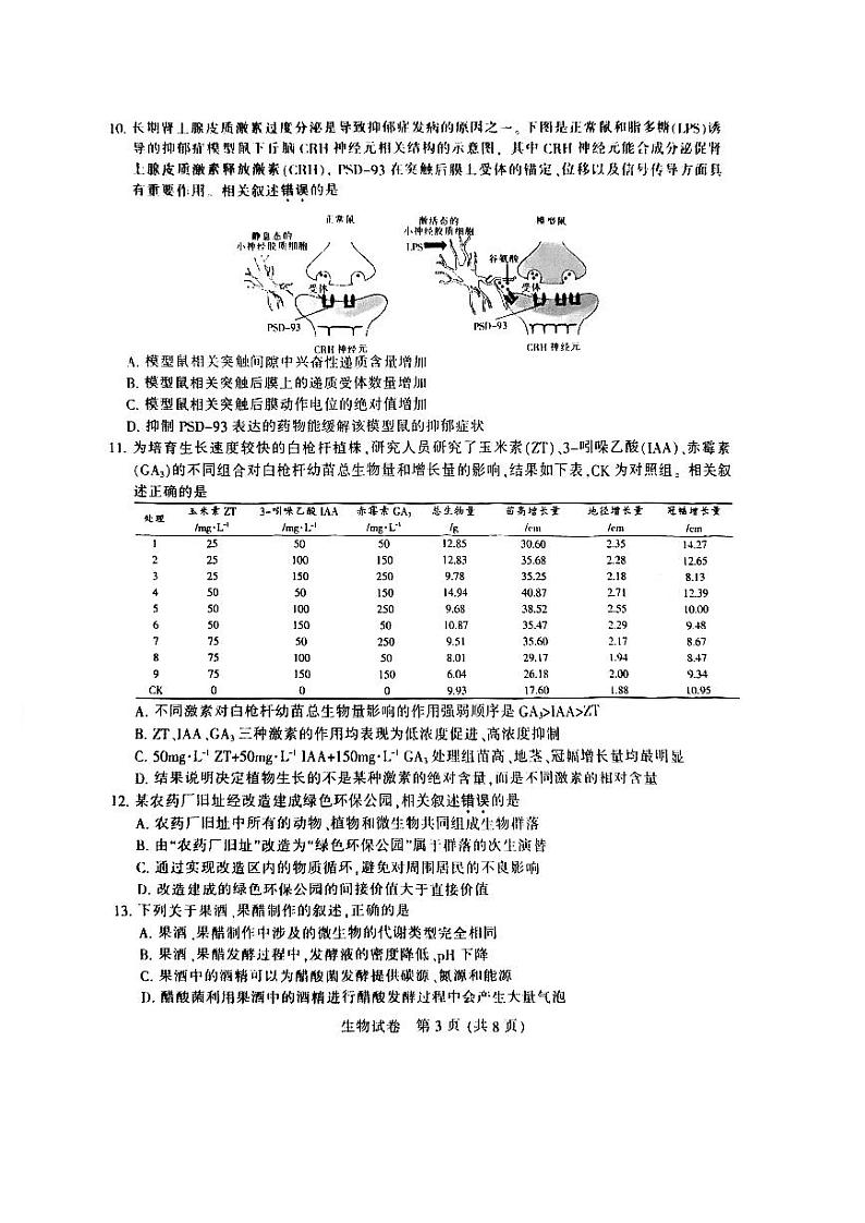 江苏省南通等六市2024届高三第一次模拟考试生物试卷03
