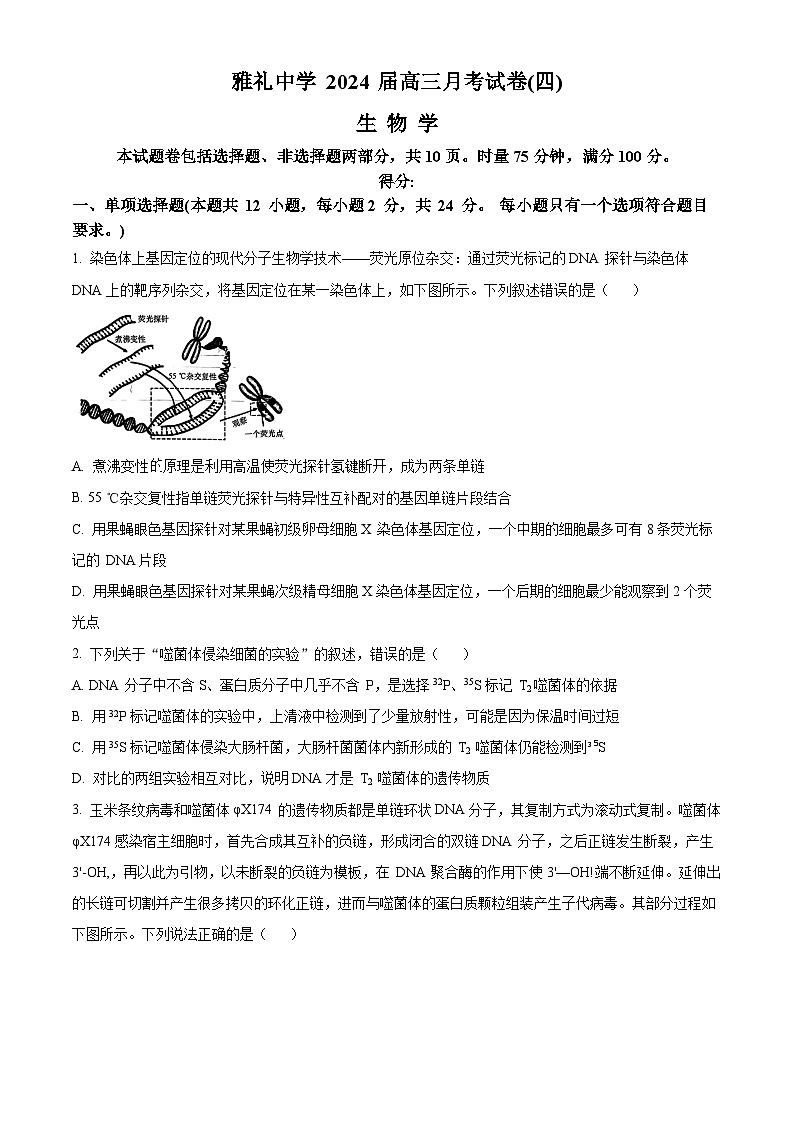 湖南省长沙市雅礼中学2023-2024学年高三上学期月考试卷(四)生物试题(原卷版)01